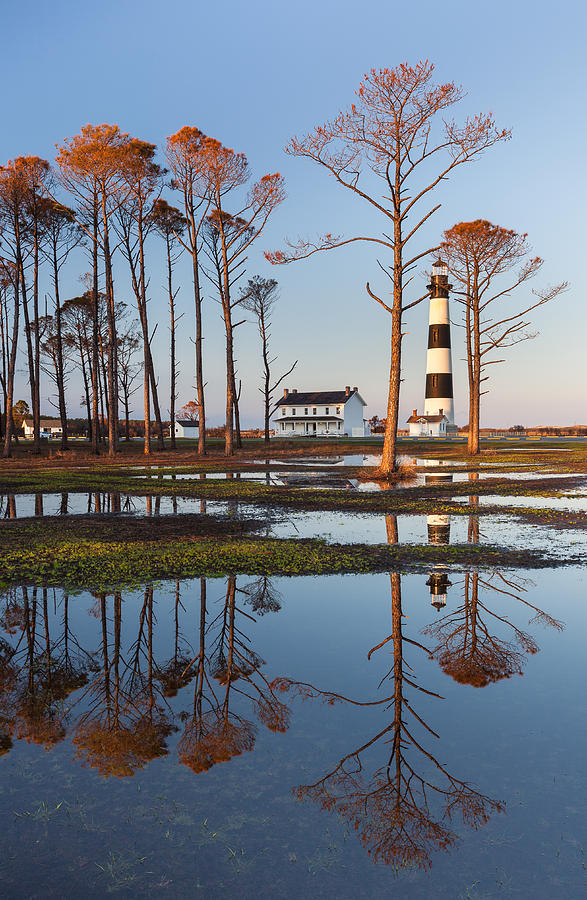 Tree Photograph - Bodie Island Lighthouse OBX Golden Sunset Reflections by Mark VanDyke
