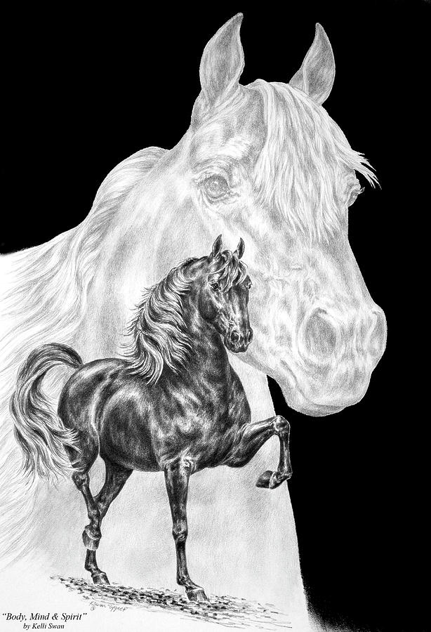 Black And White Drawing - Body Mind and Spirit - Morgan Horse Print  by Kelli Swan
