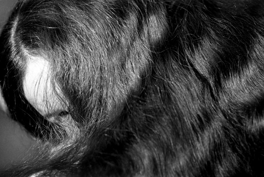 Body of Hair Photograph by Lonnie Paulson