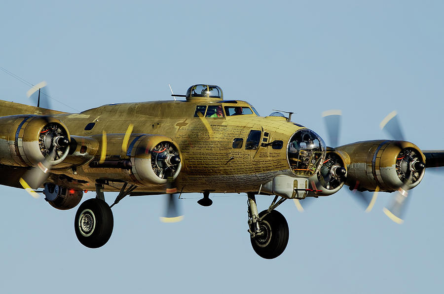 Boeing B-17 Flying Fortress Photograph by James David Phenicie