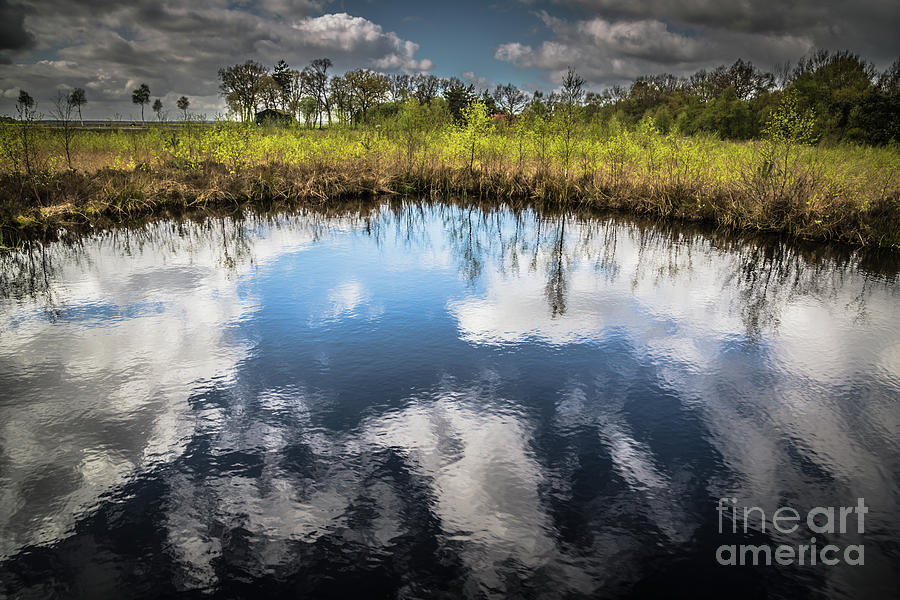 Nature Photograph - Bog Pond by Eva Lechner