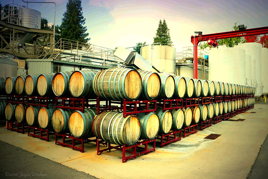 Bogle Winery By The Barrel Photograph by Joyce Dickens
