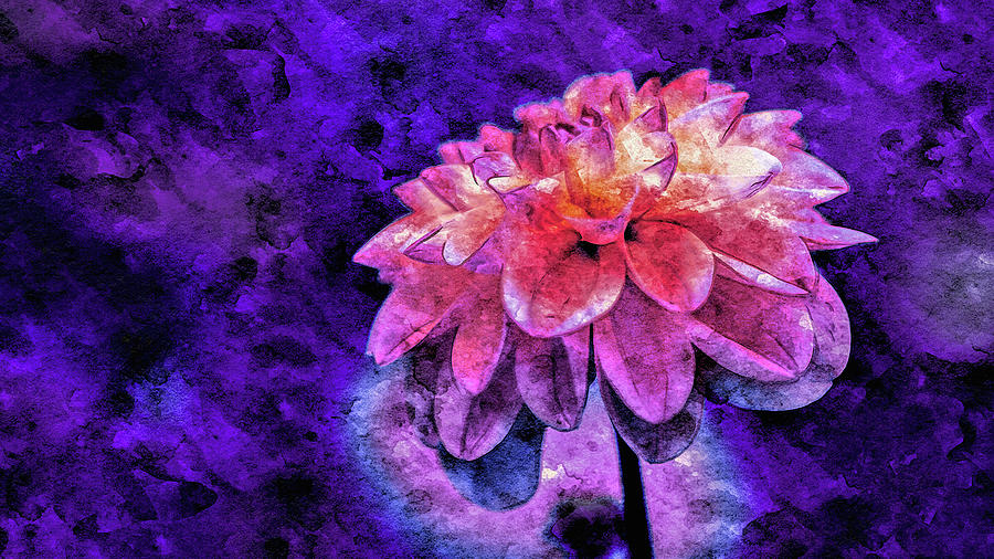 Bohemian Bloom by Susan Maxwell Schmidt Bohemian Bloom by Susan Maxwell Schmidt