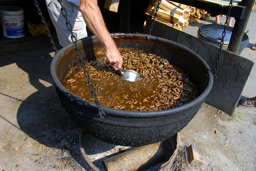 Boiled Peanuts a southern tradition Photograph by David Lee Thompson