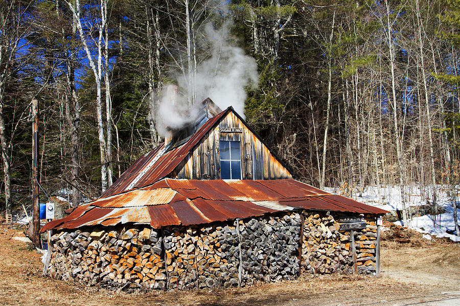 Boiling Sap To Make Maple Syrup  Photograph by Betty  Pauwels 