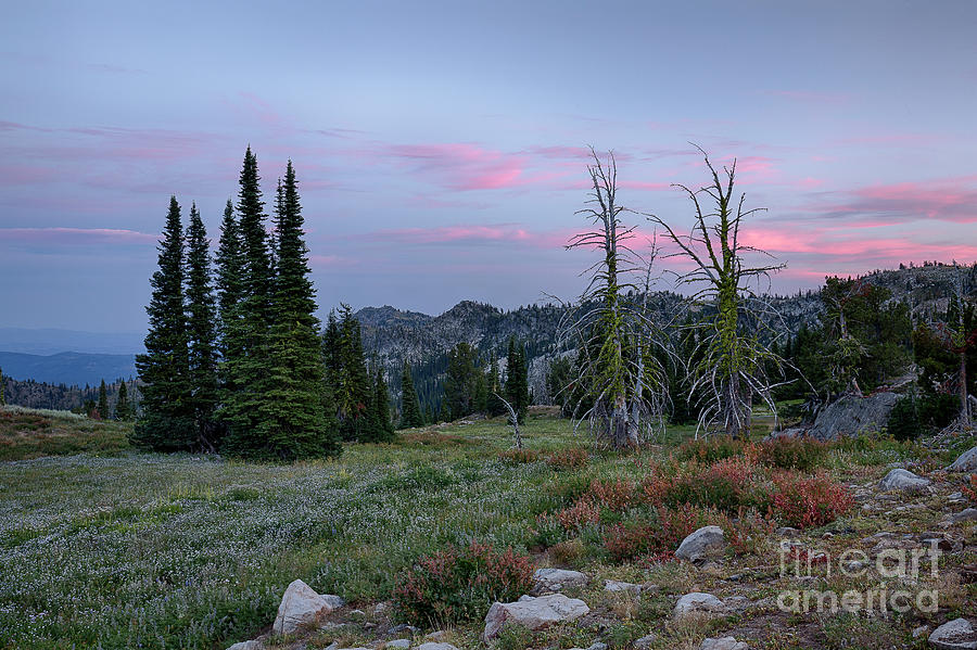 Boise National Forest Twilight Photograph by Idaho Scenic Images Linda Lantzy