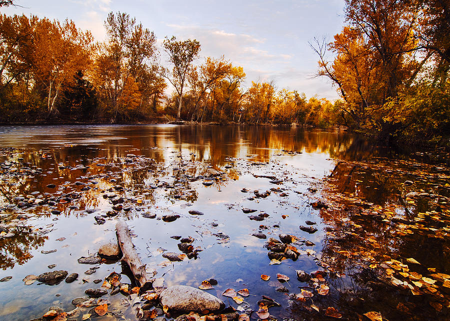 Boise River Autumn Glory Photograph by Vishwanath Bhat