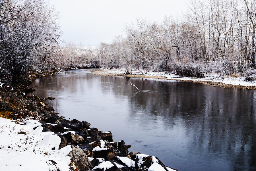Boise River in winter with fresh snows on trees Photograph by Vishwanath Bhat