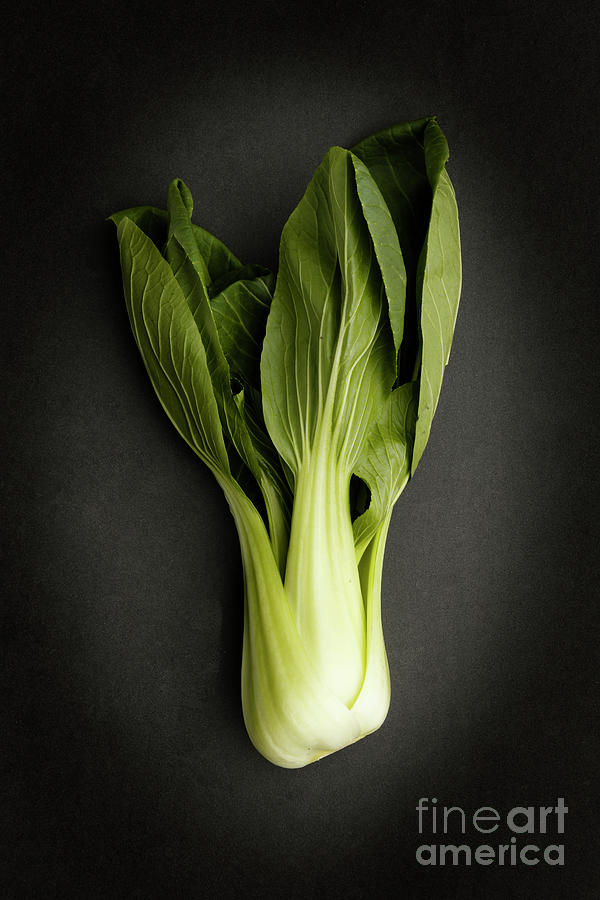Bok Choy Photograph by Phill Thornton