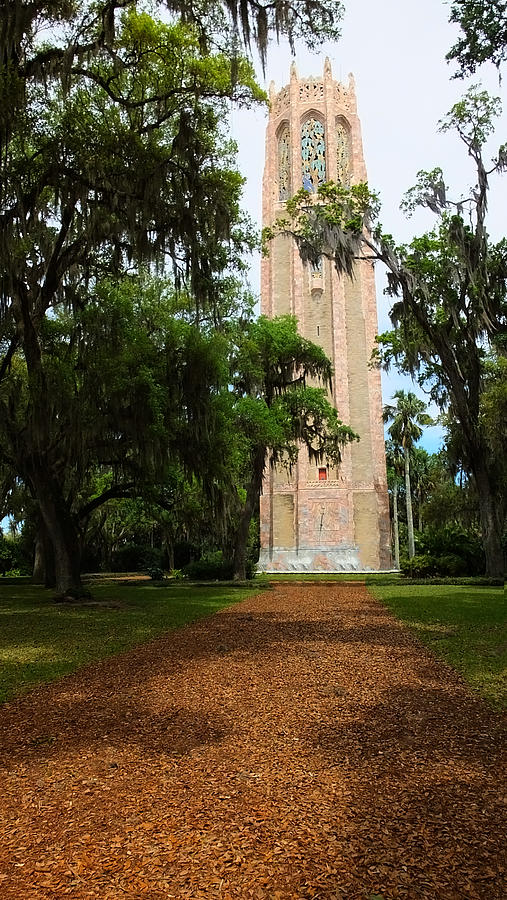 Bok Tower Full Back View Photograph by Judy Wanamaker