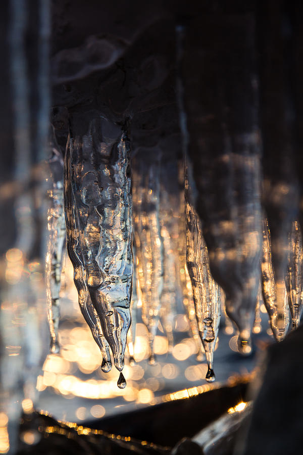 Bokeh Ice Photograph by Lee and Michael Beek