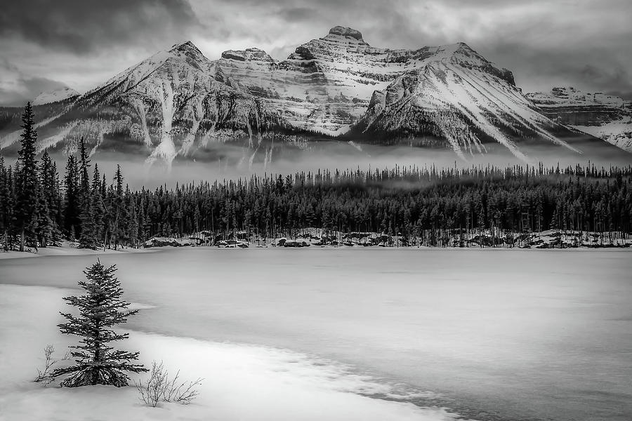 Banff National Park Photograph - Bold Banff by Gary Migues