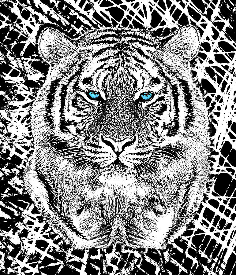 Bold Black And White Blue Eyes Tiger Digital Art by Garaga Designs