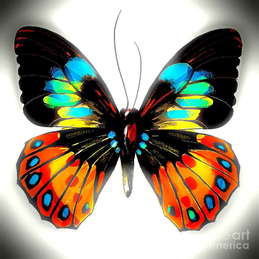 Bold Butterfly Digital Art by Gayle Price Thomas