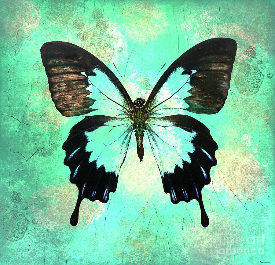 Bold Butterfly Digital Art by Tina LeCour - Fine Art America