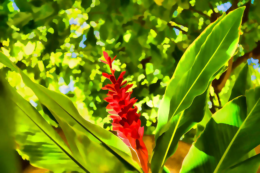 Tropical Impressions - Bold Red Ginger Flower Digital Art by Georgia Mizuleva