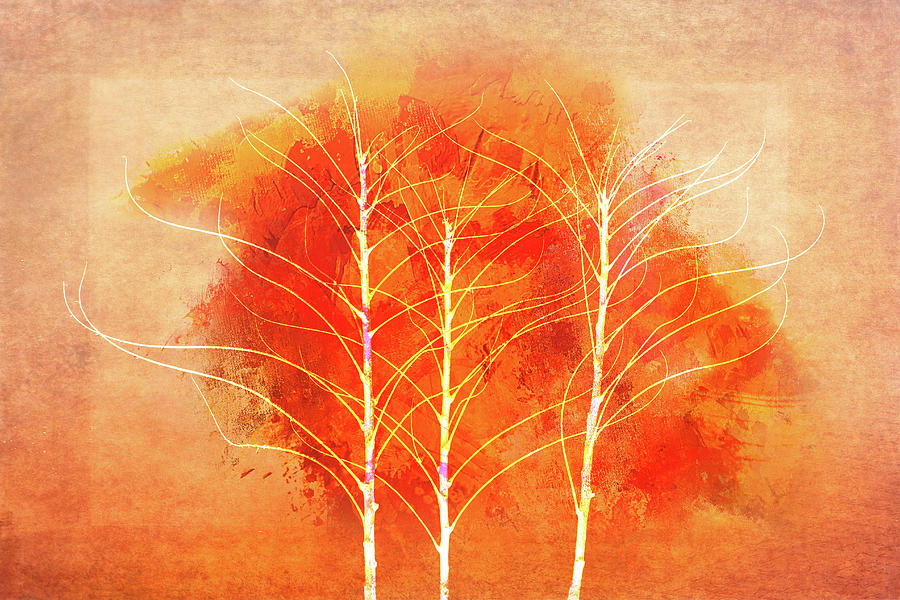 Bold Summer Trees Digital Art by Terry Davis