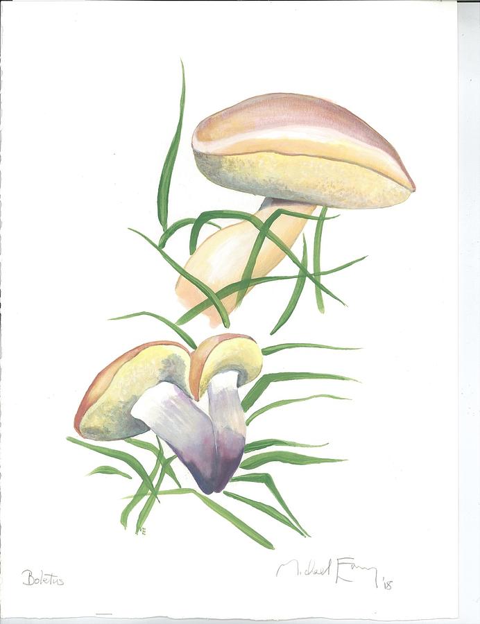 Boletus Painting by Michael Earney