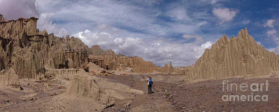 Bolivia Rock pinnacles Photograph by Warren Photographic