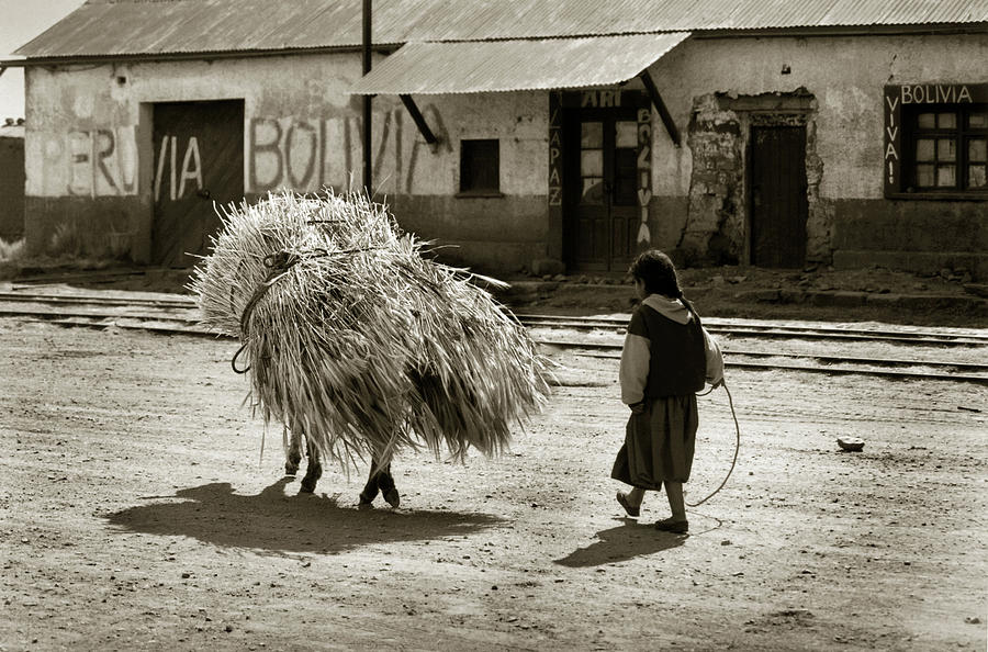 Bolivian Child Working Photograph by Amarildo Correa