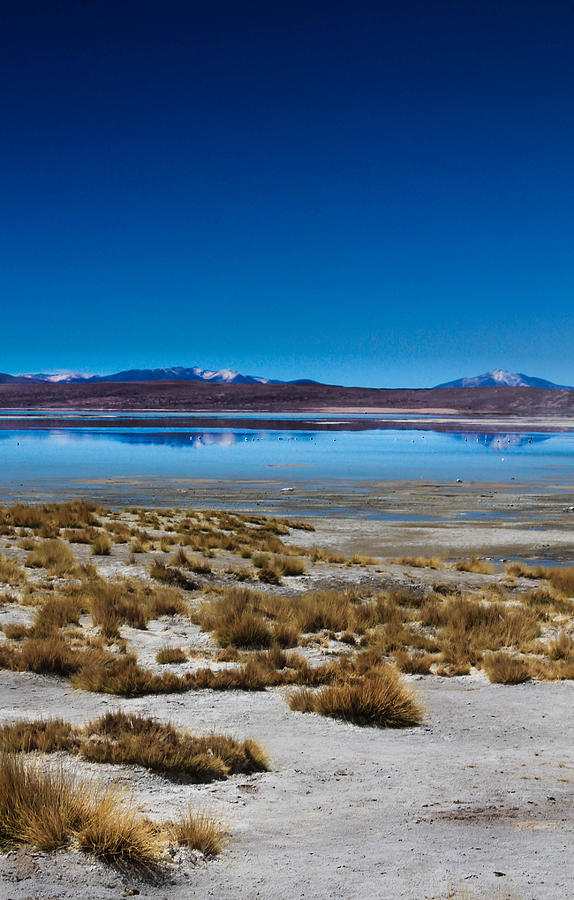 Bolivian Hot Springs Photograph by Jonathan Van Duyn - Fine Art America