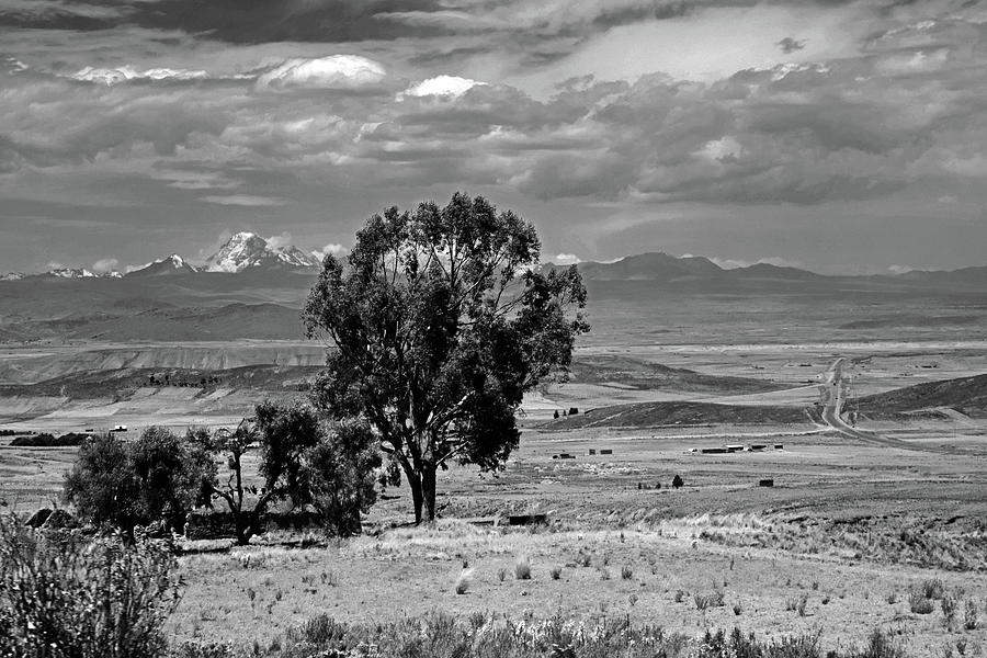 Bolivian Landscape No. 8-1 Photograph by Sandy Taylor