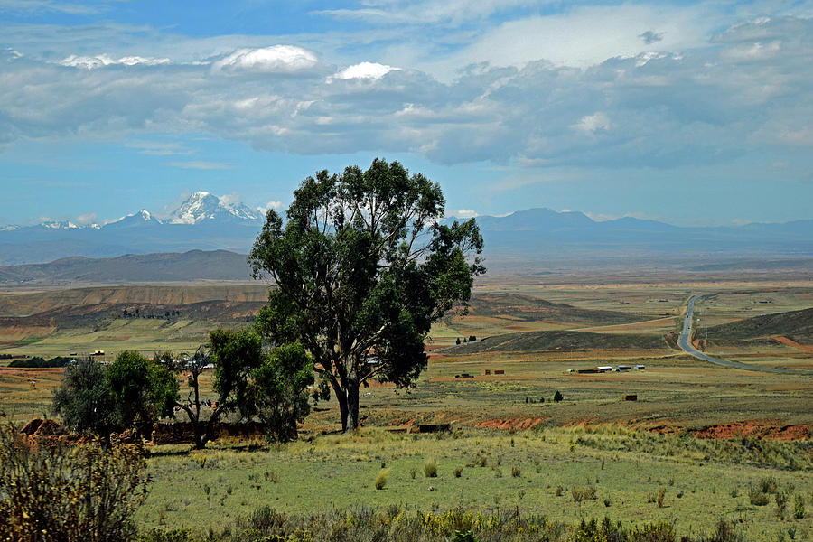 Bolivian Landscape No. 8 Photograph by Sandy Taylor