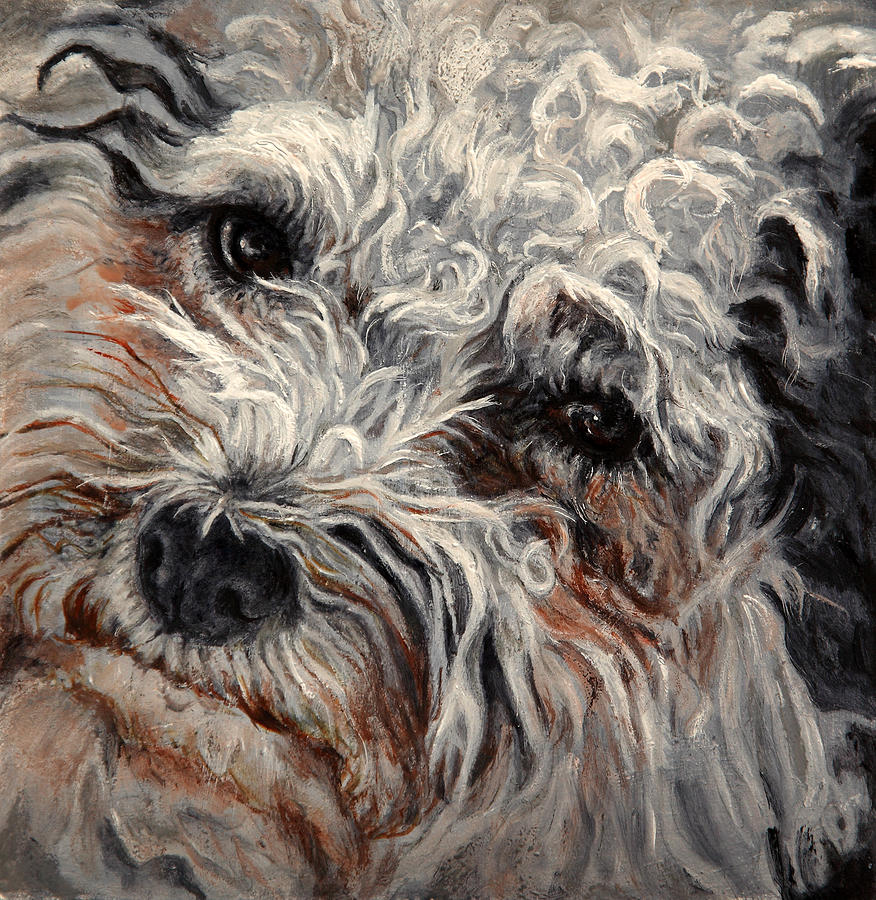 Bolognese Breed Painting by Portraits By NC