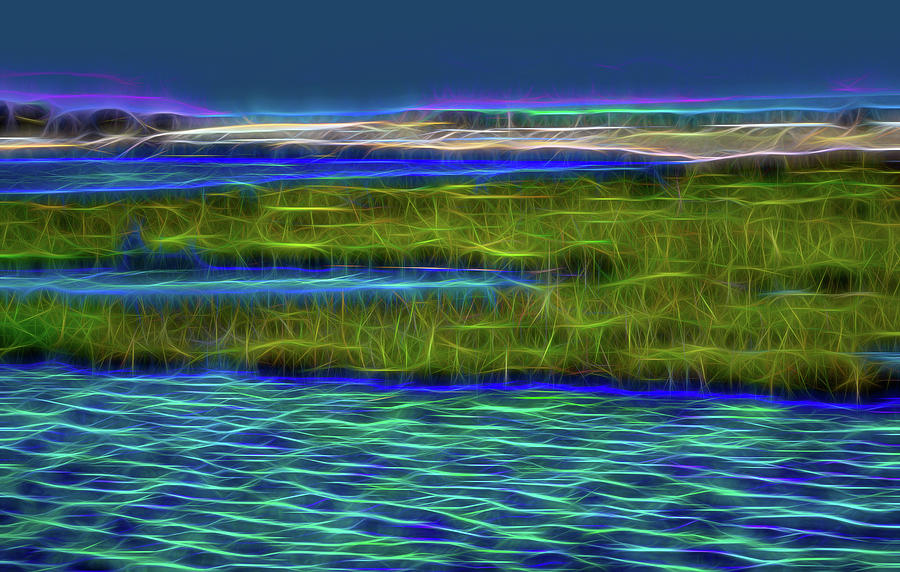 Bolsa Chica Wetlands I Abstract 1 Digital Art by Linda Brody