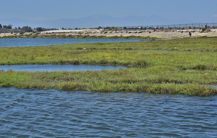 Bolsa Chica Wetlands I Photograph by Linda Brody