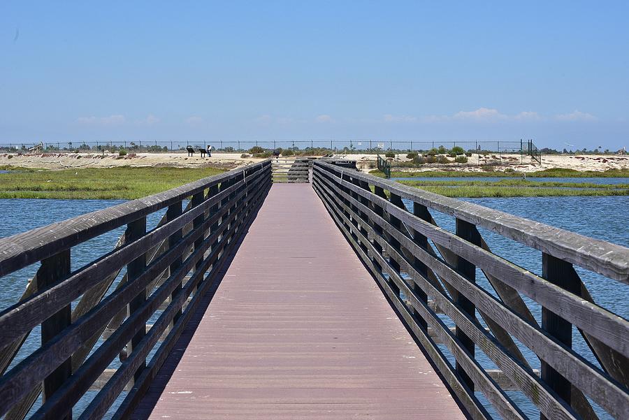 Bolsa Chica Wetlands Viewing Pier Photograph by Linda Brody