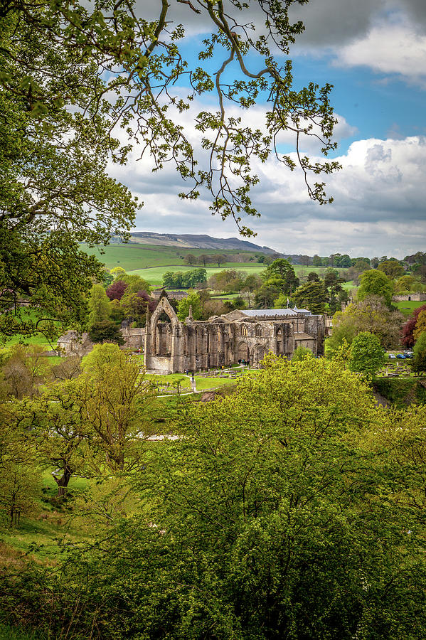 Bolton Priory in Springtime Photograph by W Chris Fooshee