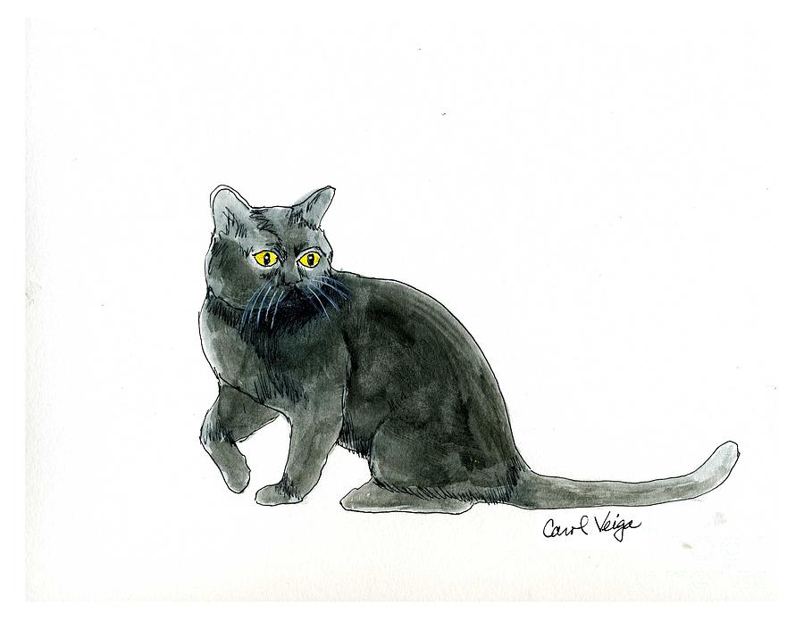 Bombay Cat Drawing by Carol Veiga - Fine Art America