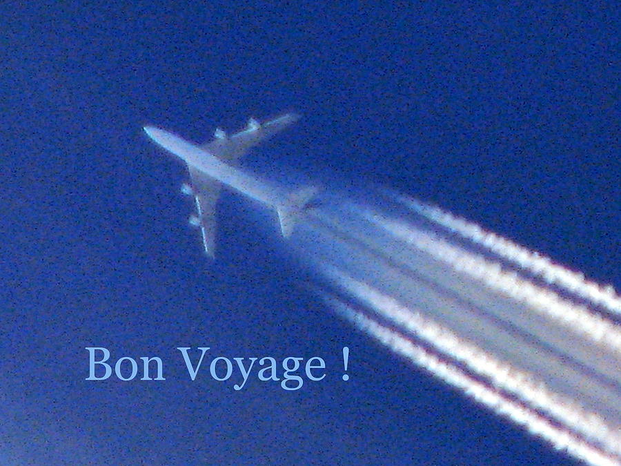 Bon Voyage Photograph by T Guy Spencer