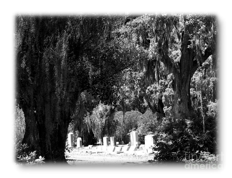 Bonaventure Cemetery BW Photograph by Jacqueline M Lewis