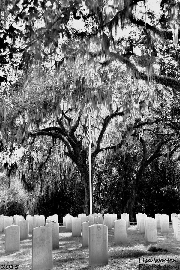 Bonaventure World War 2 Cemetery Black and White H D R Photograph by Lisa Wooten