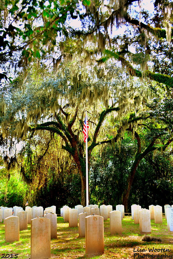 Tree Photograph - Bonaventure World War 2 Cemetery H D R by Lisa Wooten