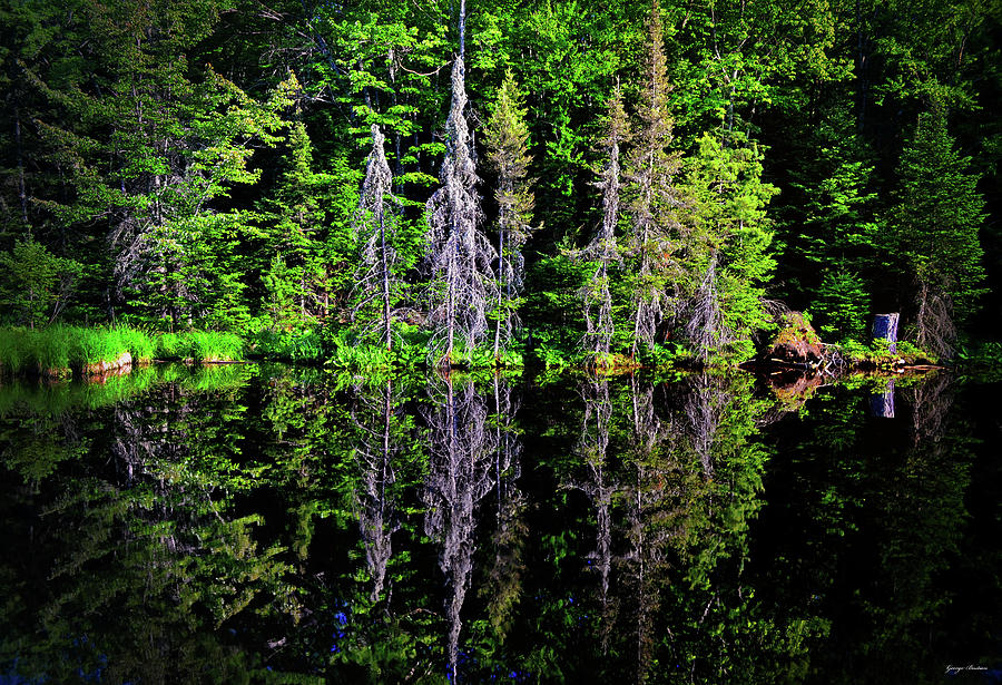 Bond Falls - Michigan 001 - Reflection Photograph by George Bostian