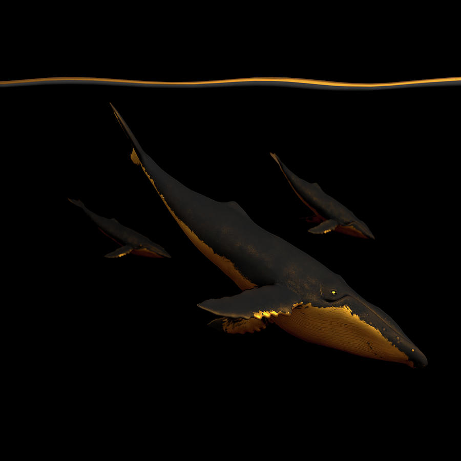 Whale Digital Art - Bond III by Spacefrog Designs