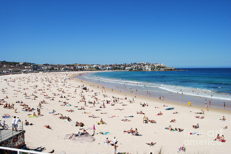 Bondi Beach in Sydney Australia Photograph by Catherine Sherman | Fine ...