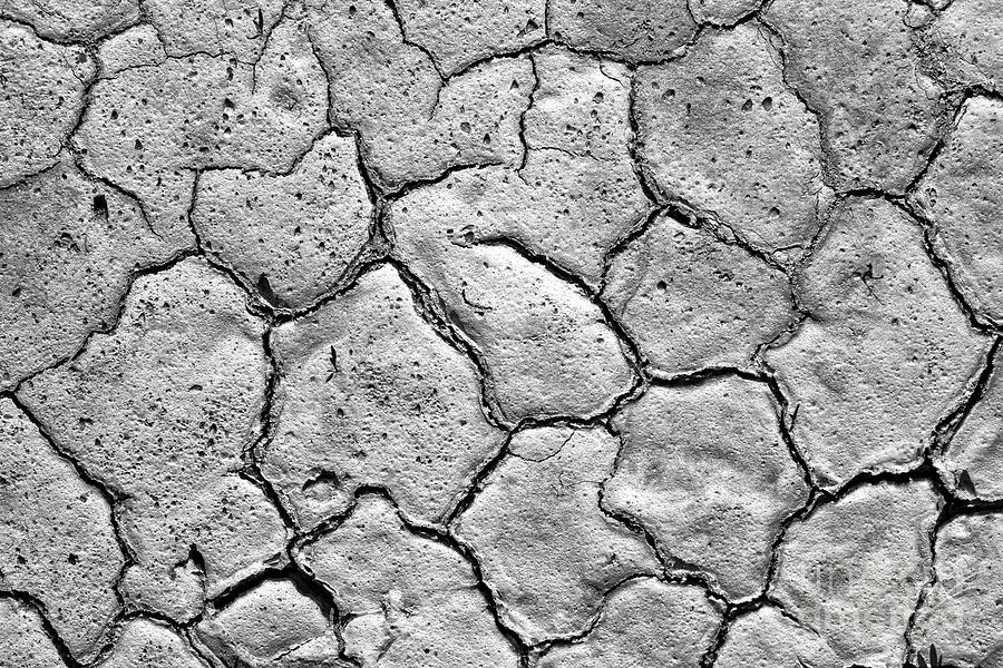 Bone Dry  Photograph by Olivier Le Queinec