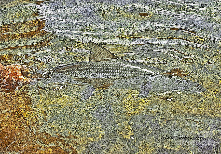 Bonefish Release Painting by Alex Suescun