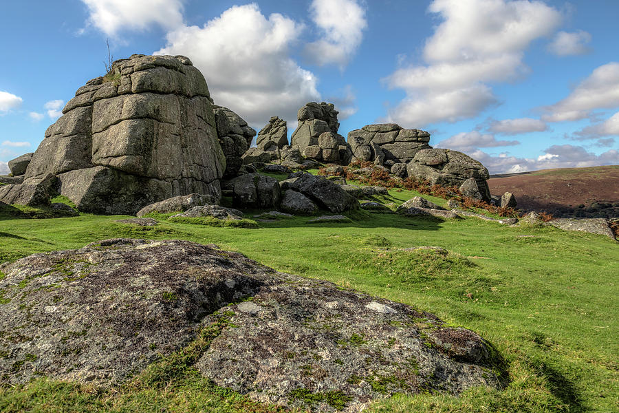Nature Photograph - Bonehill Rocks - Dartmoor by Joana Kruse