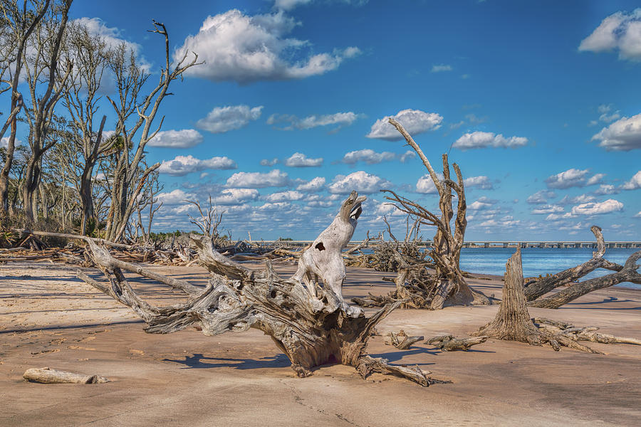 Boneyard Beach Photograph by John M Bailey