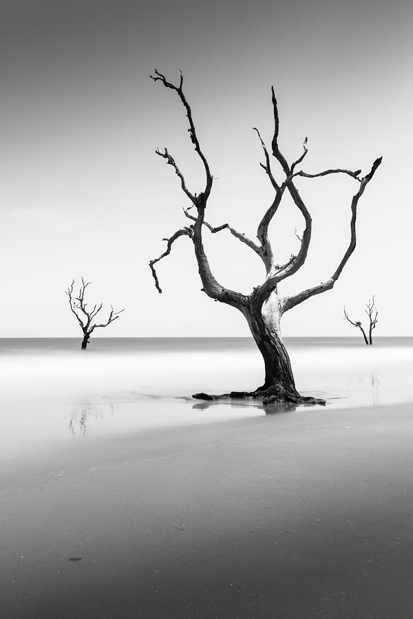 Boneyard Beach XIII Photograph by Ivo Kerssemakers