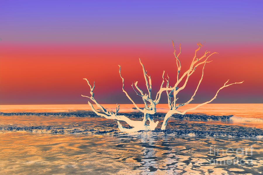 Tree Photograph - Boneyard Color by Bruce Bain