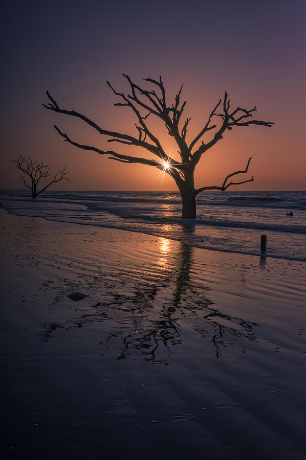Beach Photograph - Boneyard Glow - Botany Bay by Rick Berk