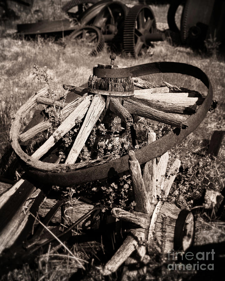 Boneyard of Wheels Photograph by Royce Howland