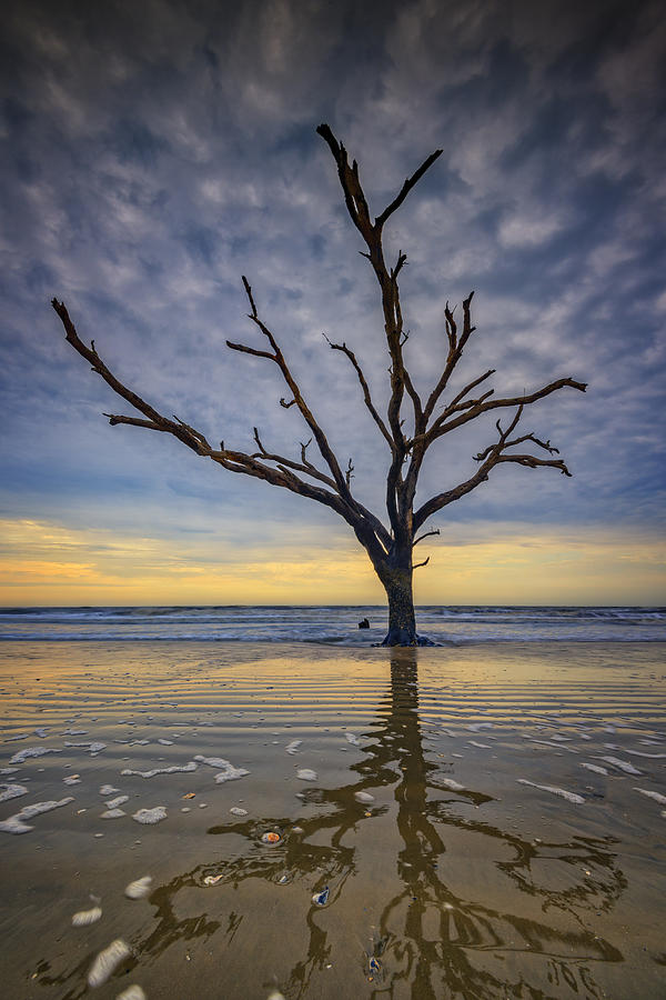 Beach Photograph - Boneyard Reflections by Rick Berk