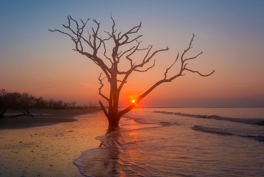 Nature Photograph - Boneyard Sunrise by RC Pics